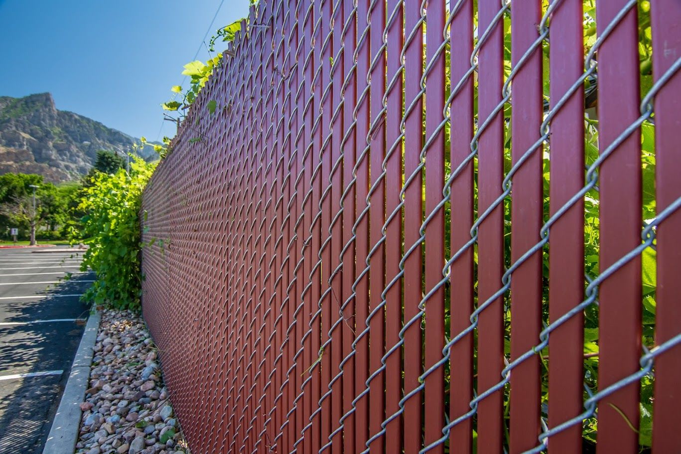 Fence Slats 129 (1)